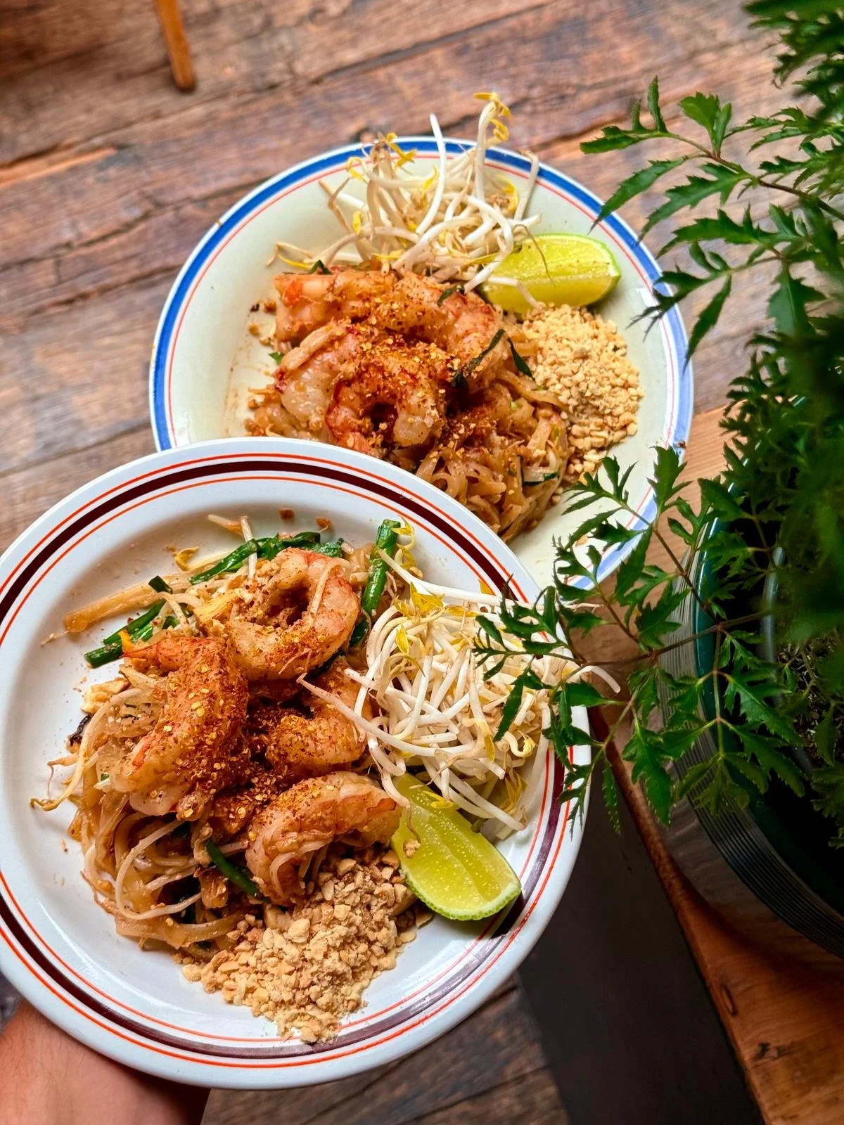 Le Pad Thai du yada, composé de nouilles de riu, crevettes sauvages, tofi, oeuf, sauce tamarin, ail nouveau, haricot mungo, citron vert, poudre de piment torréfié et cacahuètes torréfiées