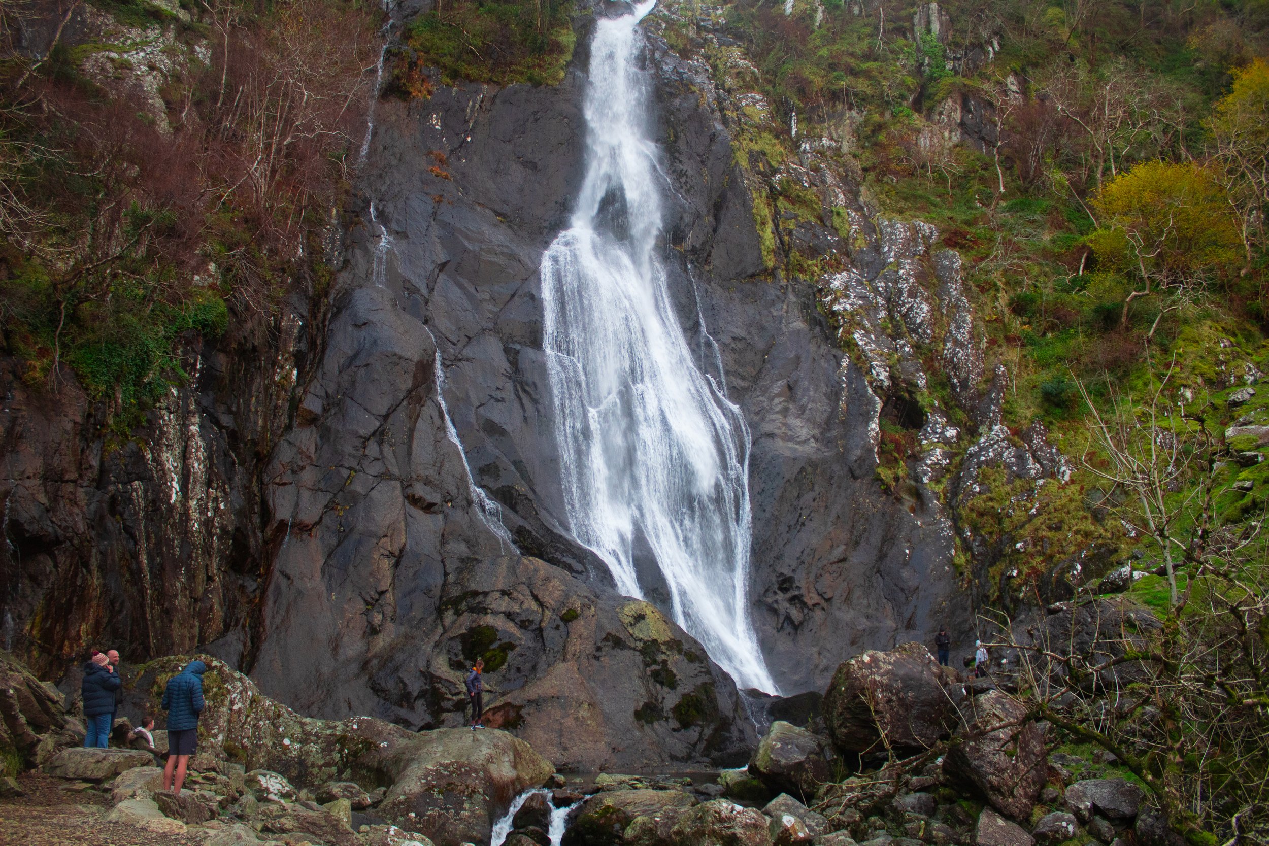IMG_7381 (2).jpg