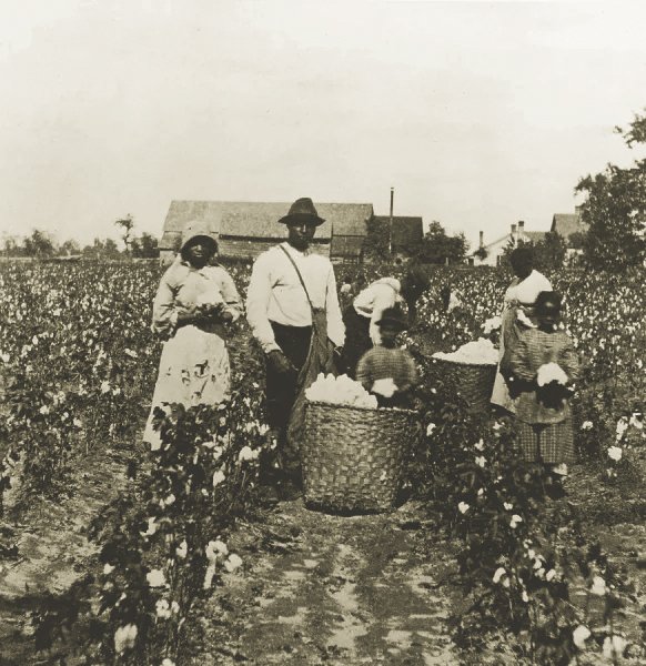 A historical photo of enslaved people, including women and children, working in a cotton field with large baskets, in a mid 19th-century setting.