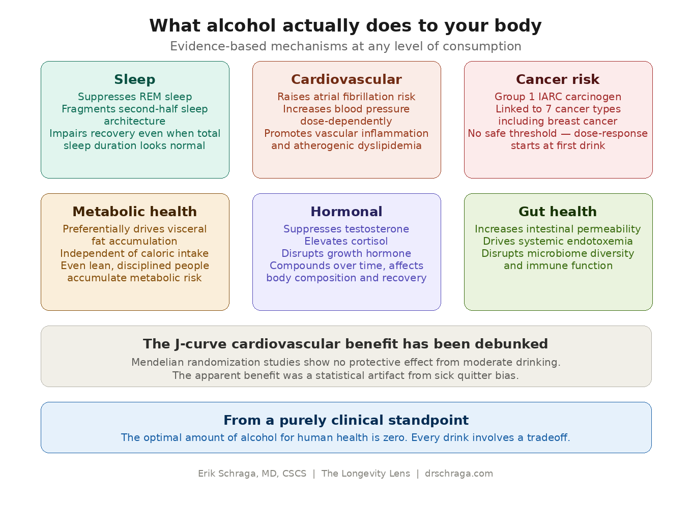 Alcohol and Longevity: An Honest Conversation From Someone Who Loves Wine