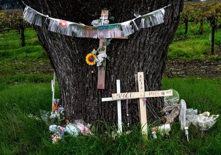 Skyy richardson, 21 - Auto Accident - Hwy 88 - San Joaquin County - 2025.   Accident also killed Angela Maldonado (25) and Simon Onesavanah (37). 