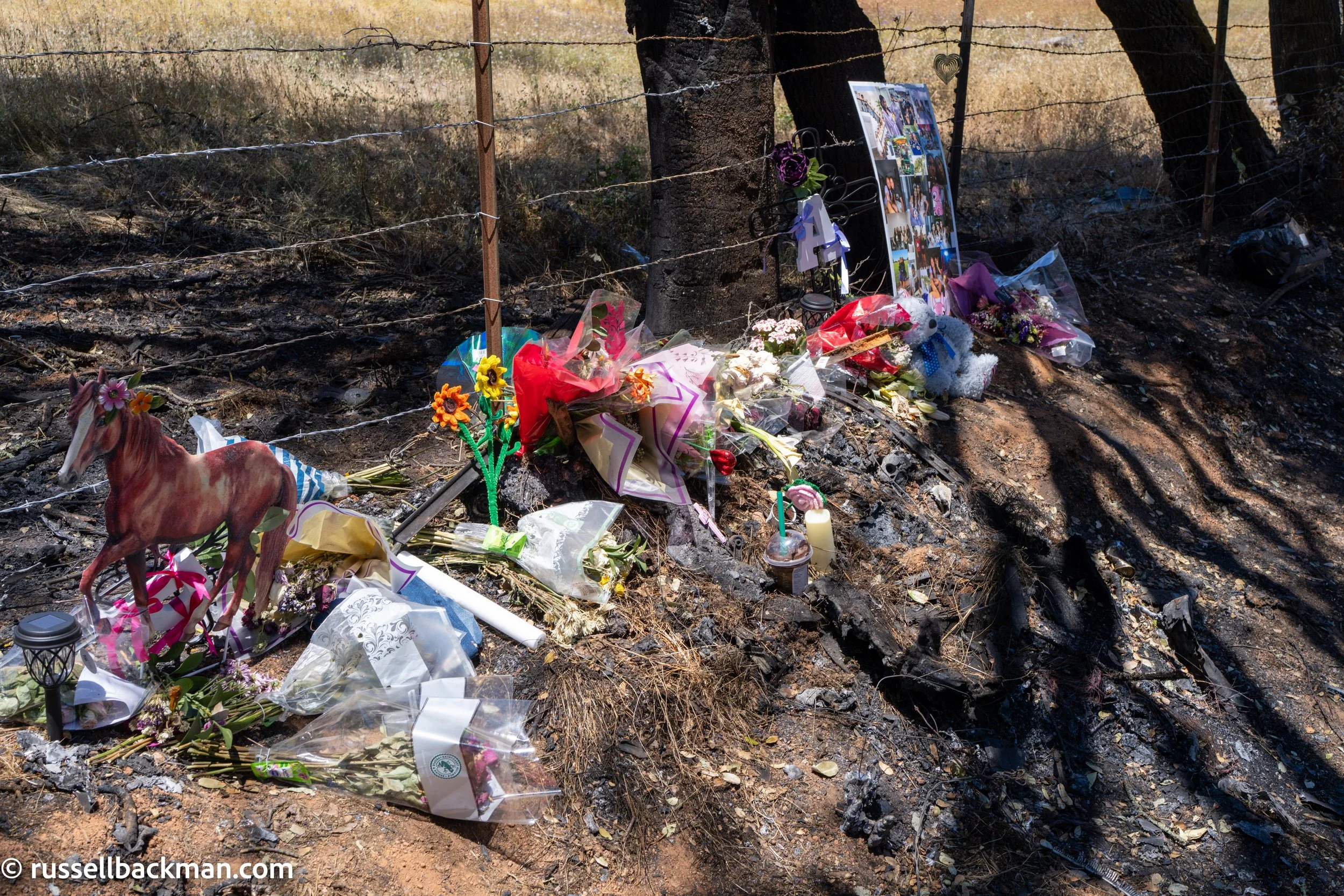 Ariyonna Orozco, 16 - Piper Conkling, 14 - Auto Accident - Scott Rd - Sacramento County - 2026