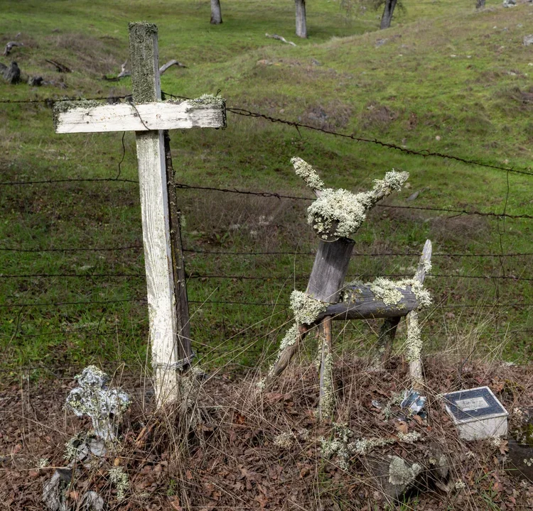 Unknown - Fiddletown Rd - Amador County
