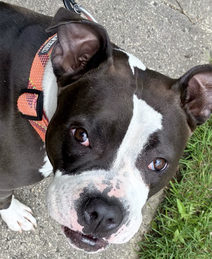 Luna
