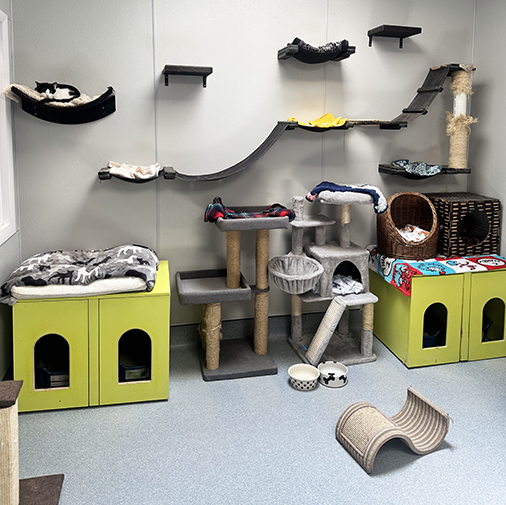 Our cats live cage free!