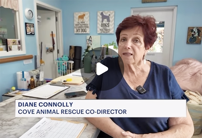 IN THE NEWS: News 12 update on Glen Cove animal rescue.