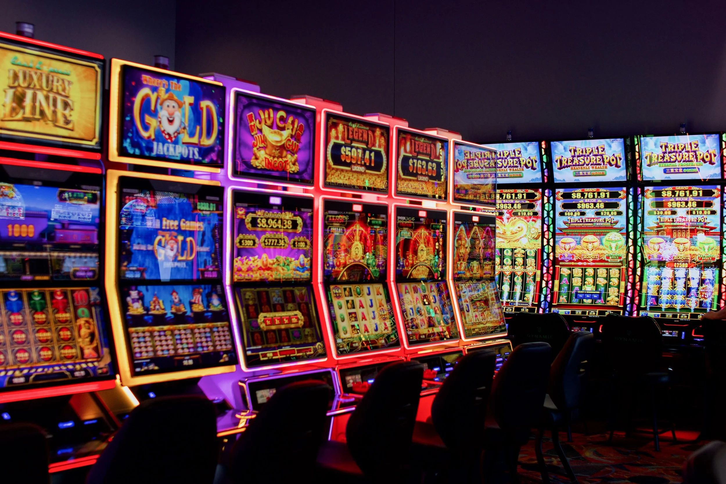 Tezza-5280.JPG