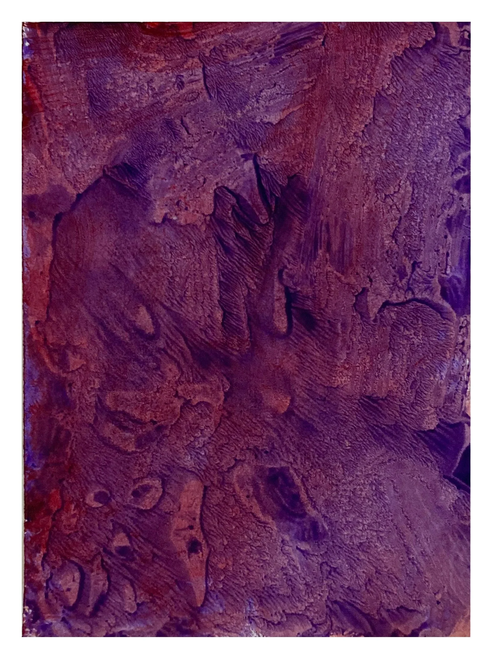 A textured, reddish-brown tree bark surface with visible grooves and irregular patterns.