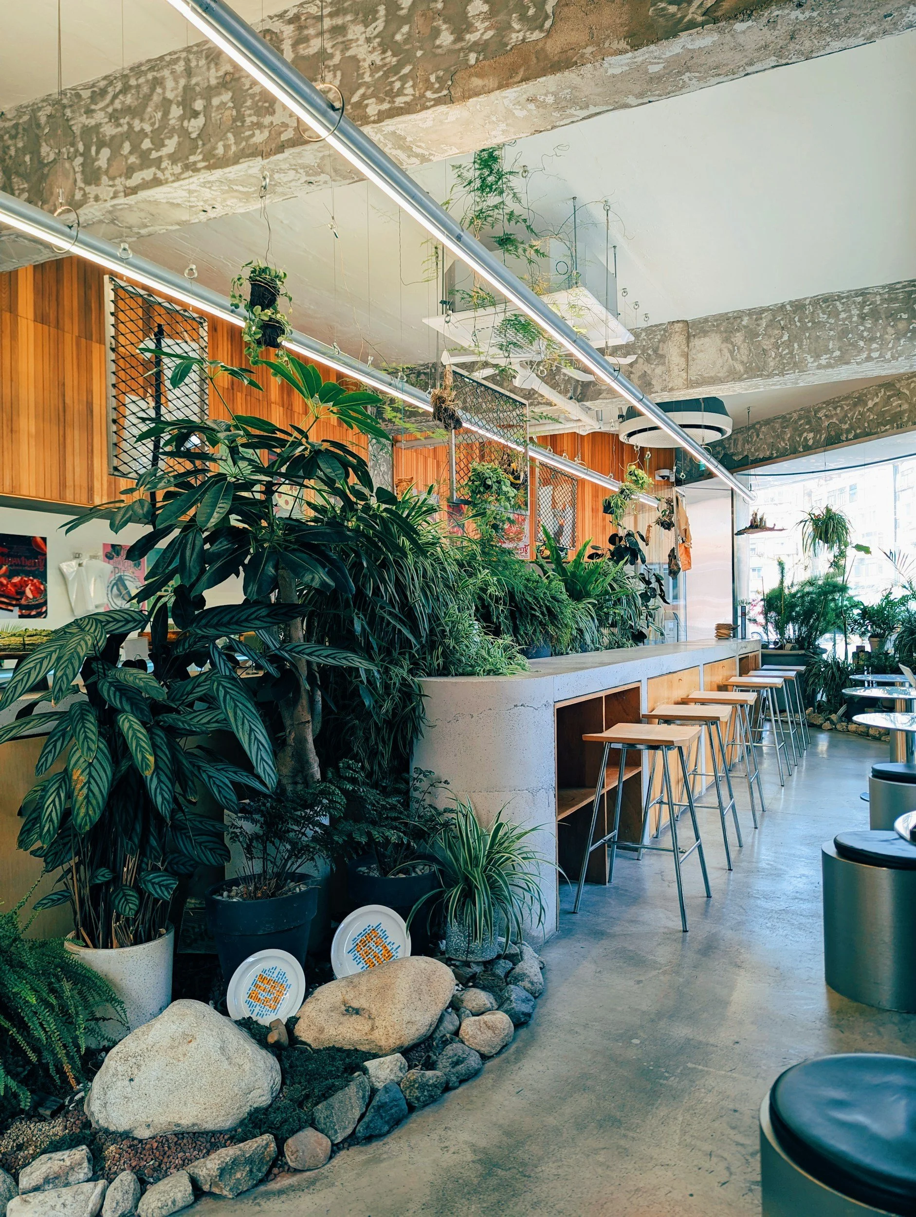 Indoor space with a row of barstools along a concrete counter, lush green plants in pots on rocks, and architectural elements like exposed beams, wood paneling, and large windows letting in natural light.