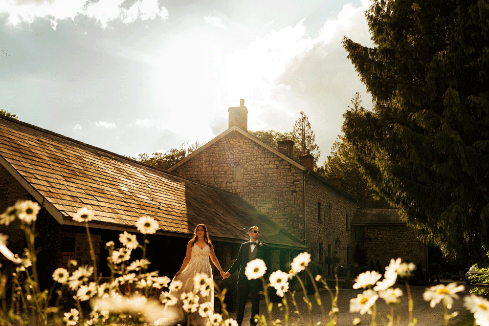 Pencoed House wedding photography with a sunset glow during the couples photos amongst, bride and groom amongst the daisies and sun flare in this Cardiff stone barn wedding venue. 