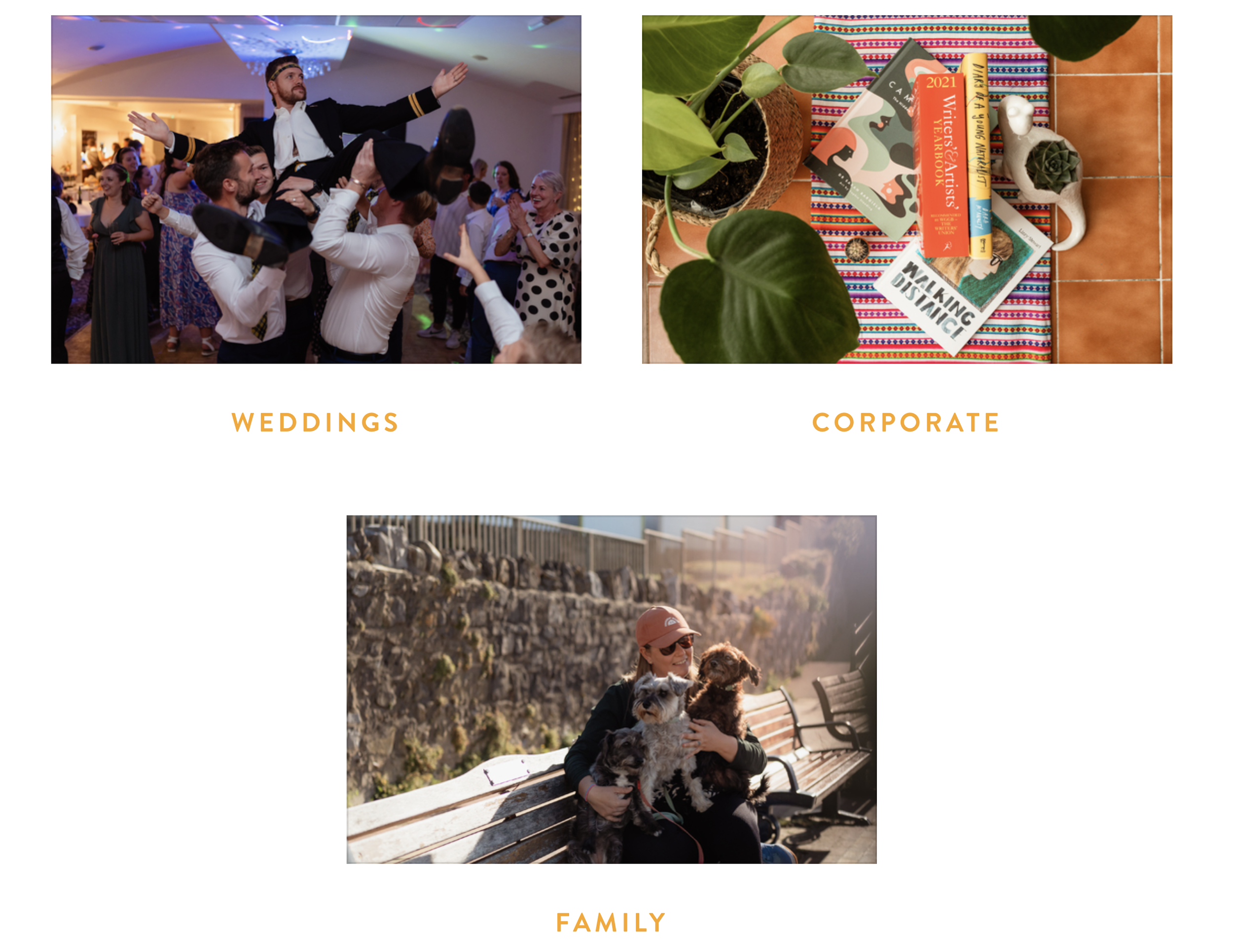 Top left: People dancing and celebrating at a wedding reception with a man lifted onto others’ shoulders, in a decorated venue. Top right: A flat lay of books, a plant, a small white figurine, and a striped cloth on a tiled surface. Bottom: A person sitting on a park bench holding four dogs, with a stone wall in the background.