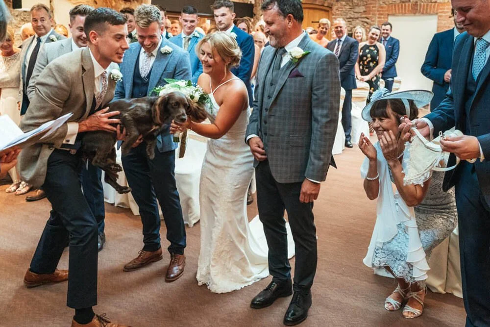 oxiwch-bay-dog-friendly-wedding-swansea-3.jpg