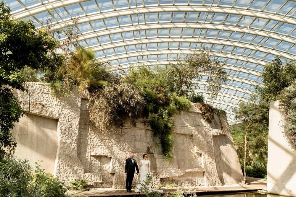 Sunny naturally lit wedding portrait of a bride and groom stood in a wide angle of the National Botanic gardens of Wales glass house. The bride in a full sleeved high neck wedding dress with lots of lace details, is holding hands with her husband.
