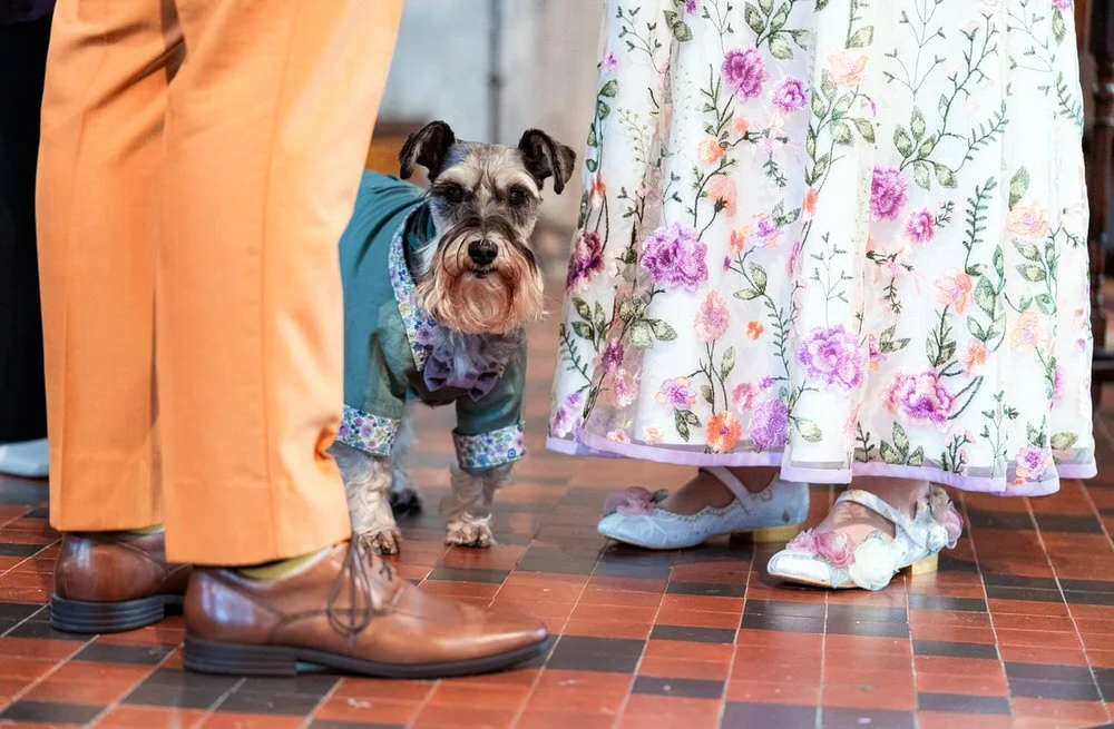 Colourful wedding photography at The Mount Without, Bristol.