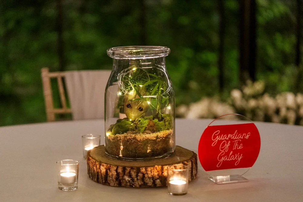 Fairyhill-wedding-photographer-oldwalls-collection-flashbulb-videographer-28929.jpg