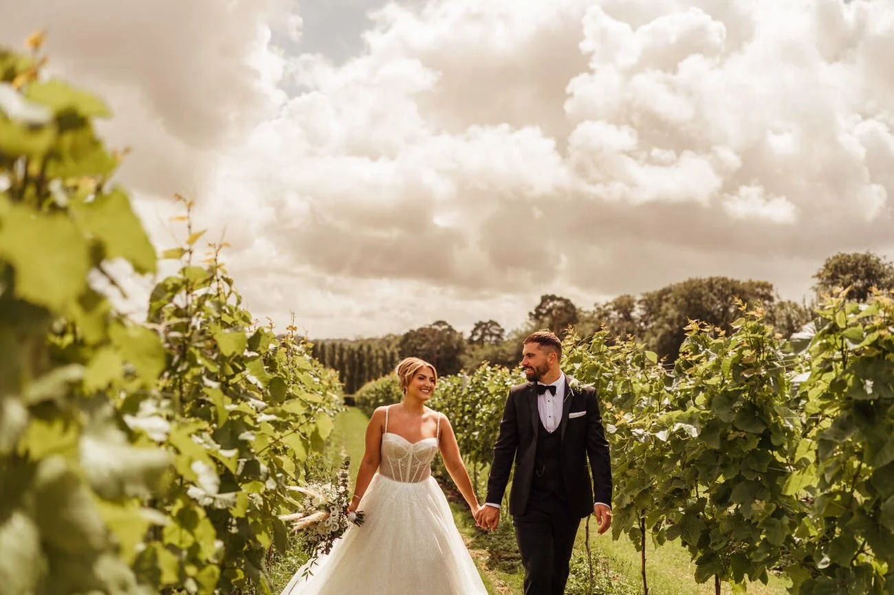 Newly married couple walking through grape vines at Llanerch Vineyard. A happy smiling bride and groom looking towards each other.