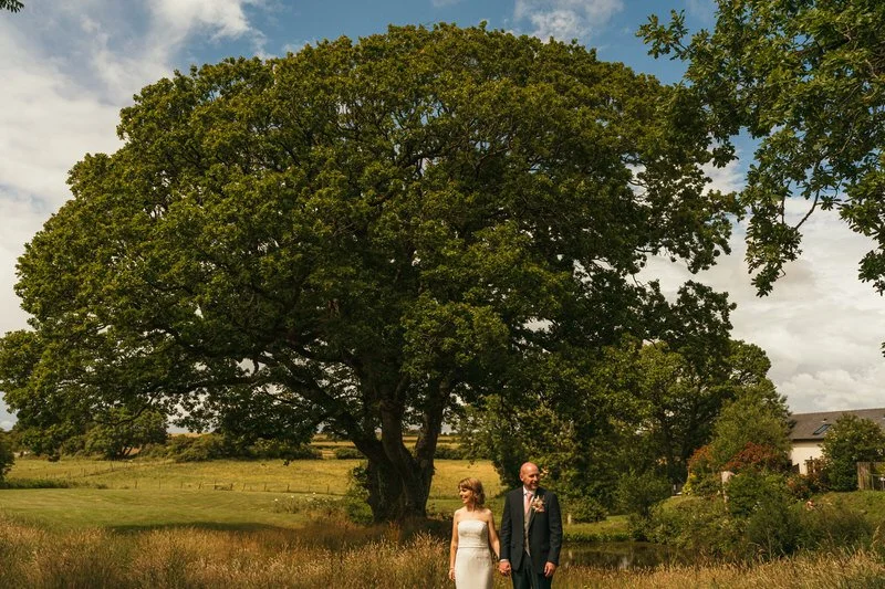 Outside Oldwalls in a surroundings of long grass and a giant oak tree, a bride and groom holding hands looking in opposite directions smiling in a happy wedding couples photo session after their ceremony in Swansea.