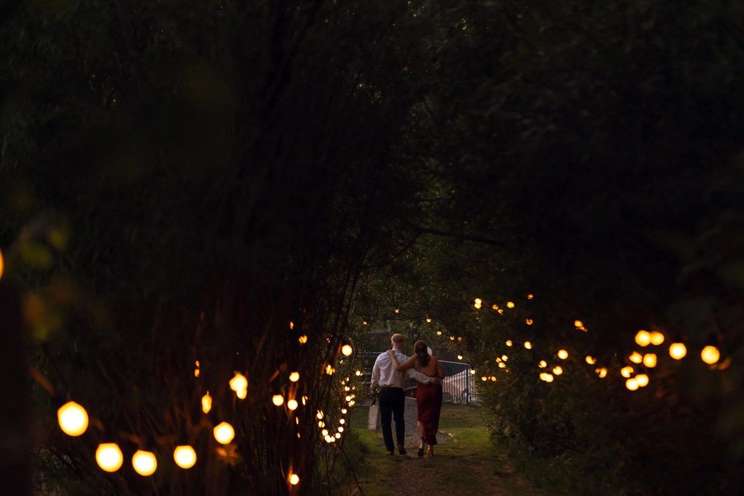 festoon lit pathway