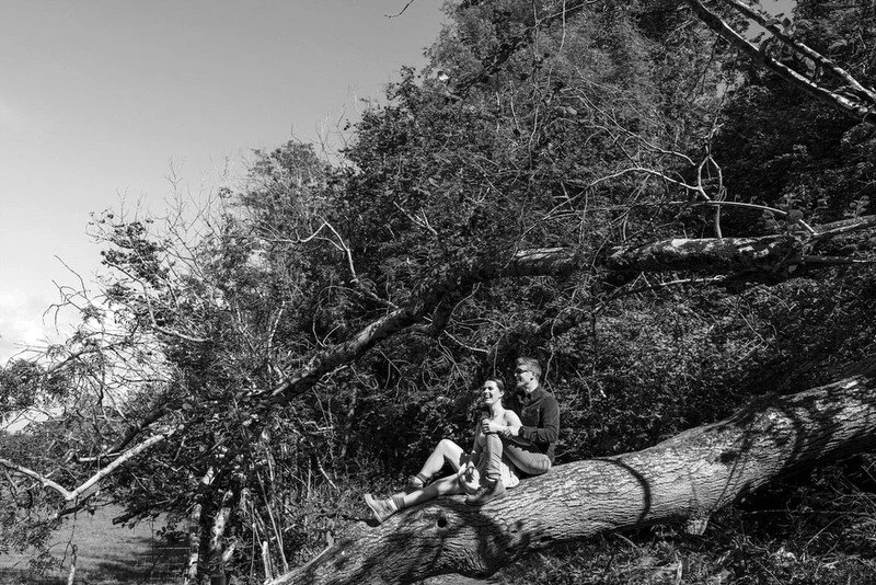 Sitting on a fallen tree branch in Cwm Ivy woods, an engaged couple enjoying their pre wedding photo shoot in South Wales, sat on a tree trunk together.
