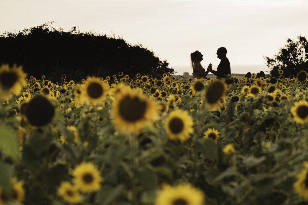 Silhouette of a couple holding hands in a field of sunflowers at Rhossili in Gower.