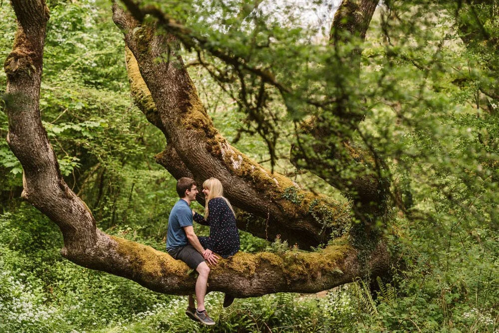 Engagement photoshoot of a young happy couple sat on a large tree branch overhanging a stream in Bishops Wood, Gower. Surrounded by forestry and luscious green trees.