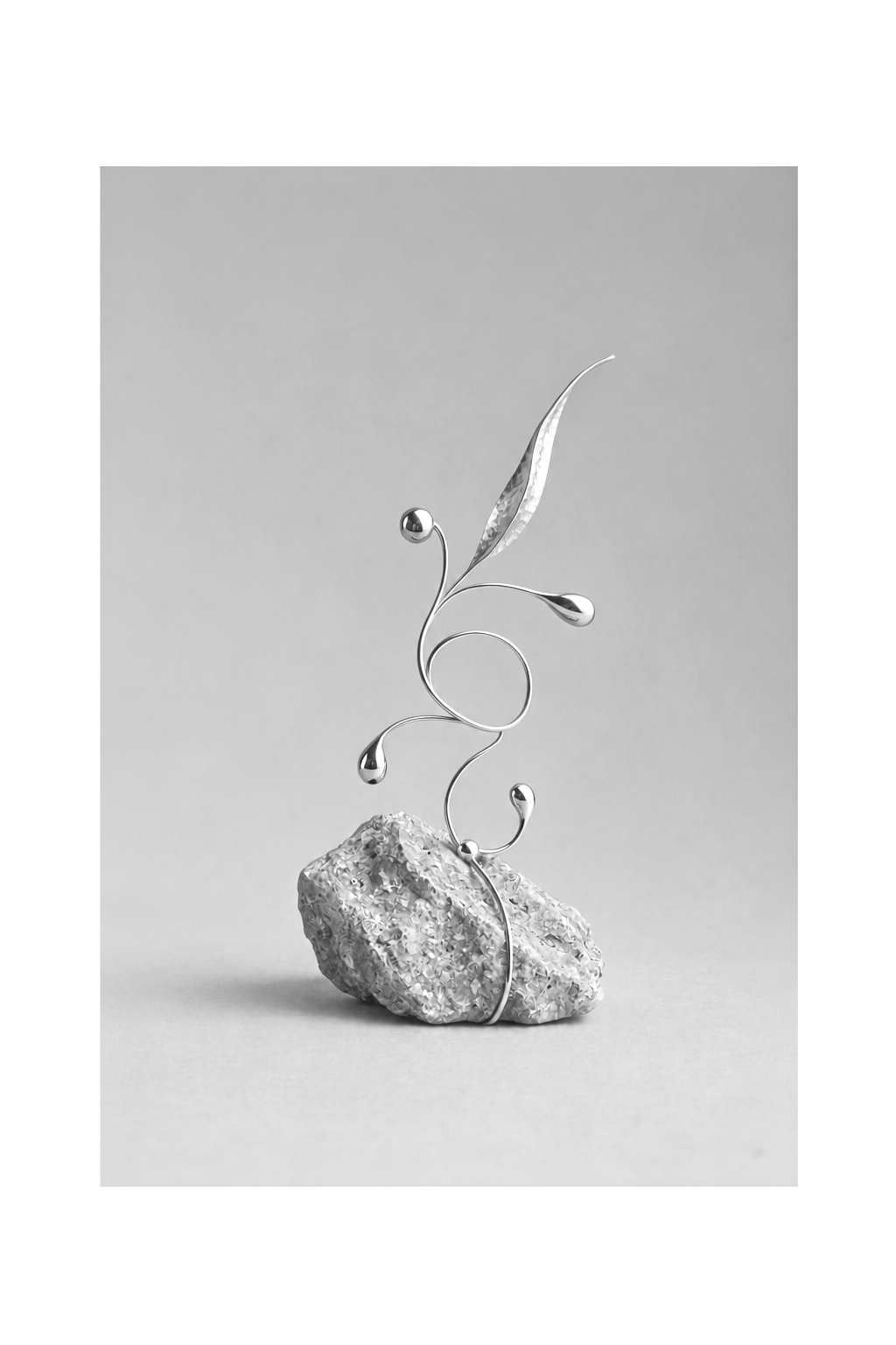 Stems Series 02