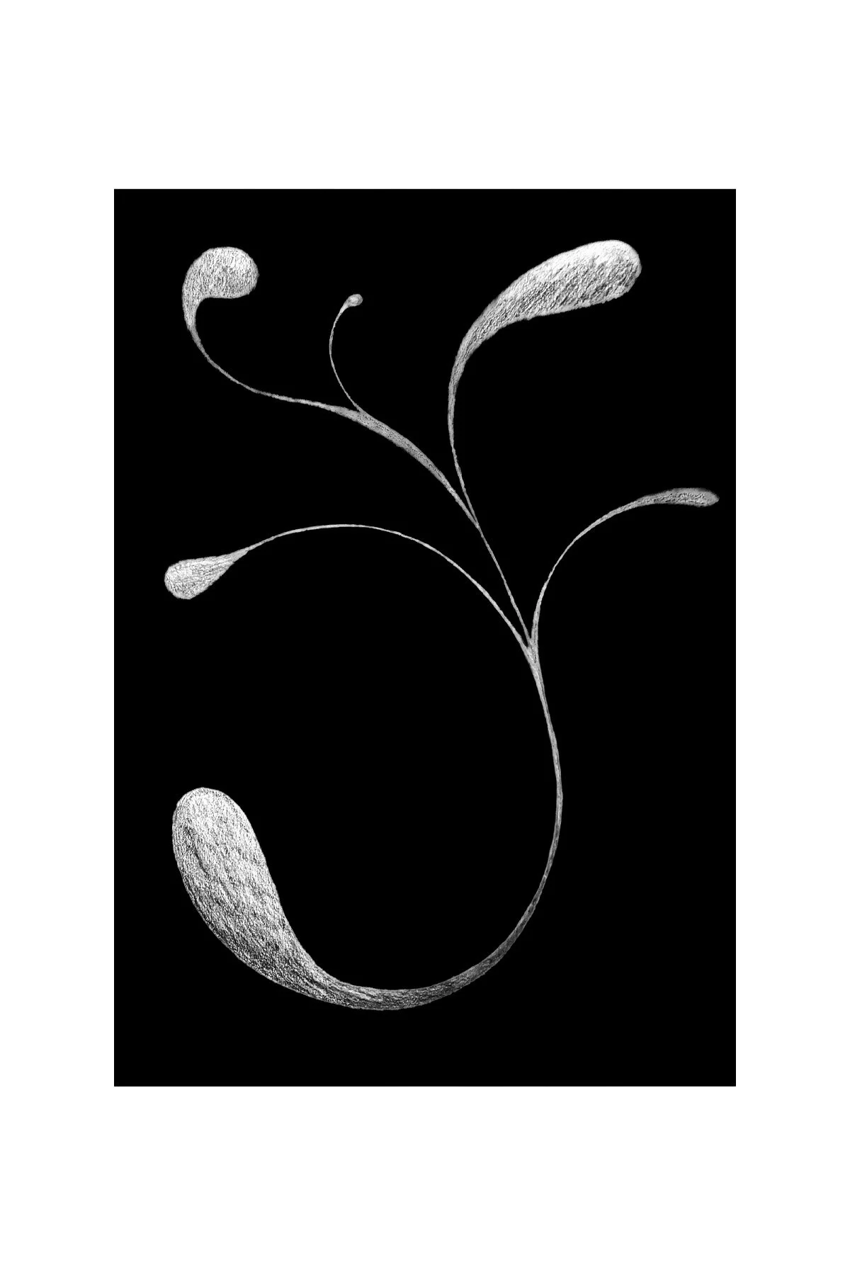 Stems Series 01