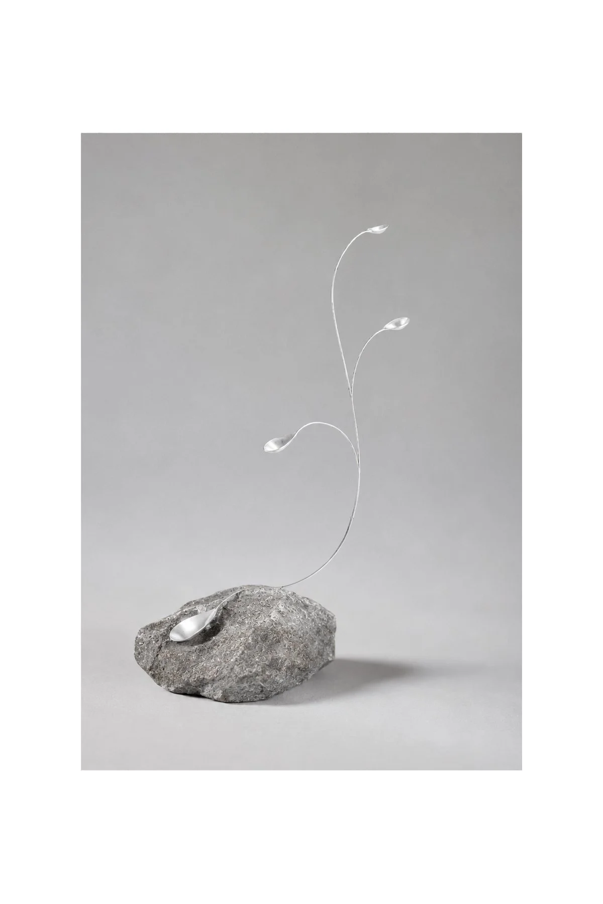 Stems Series 01