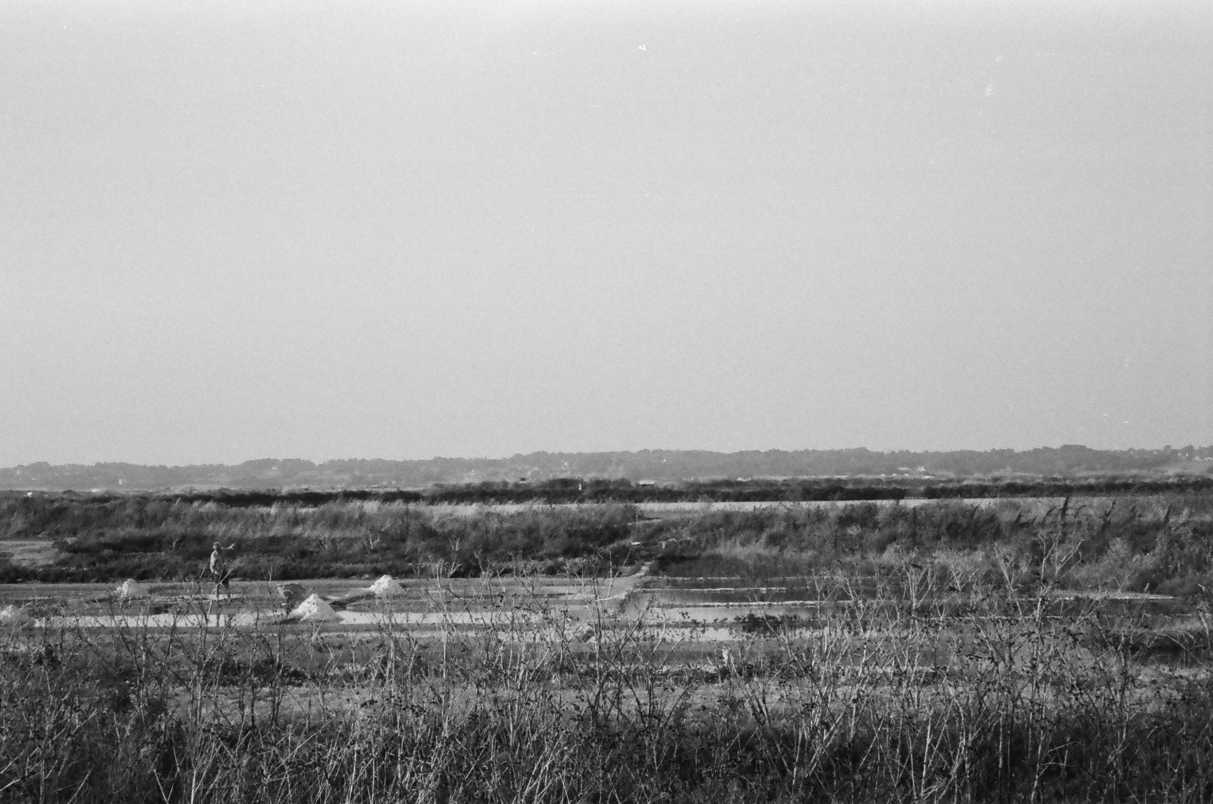 Guérande Salt Marshes, France. 2025