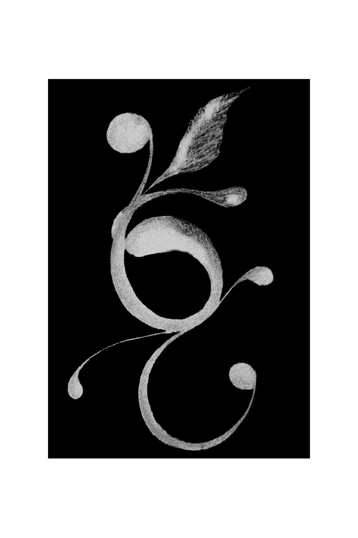 Stems Series 02