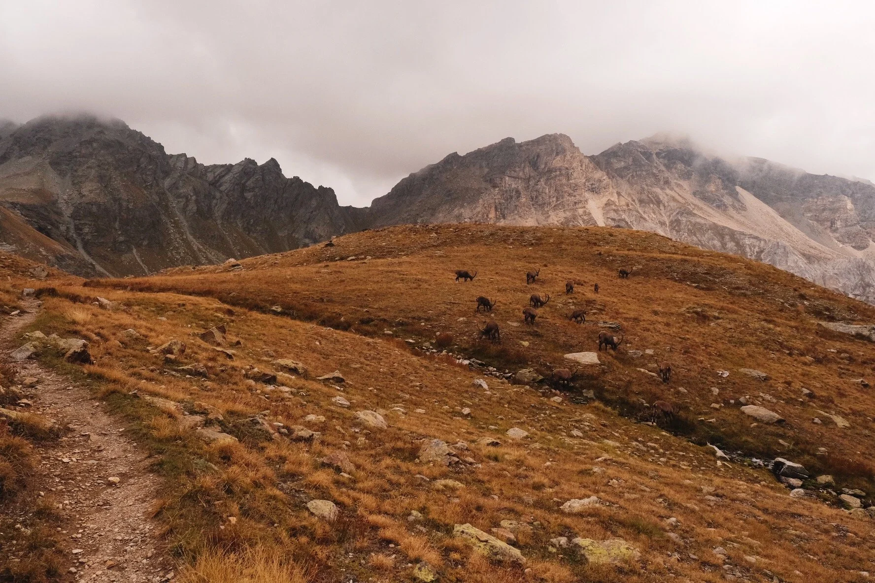 Vallée d’Aoste : 3 jours en refuges italiens sur l’Alta Via 1 