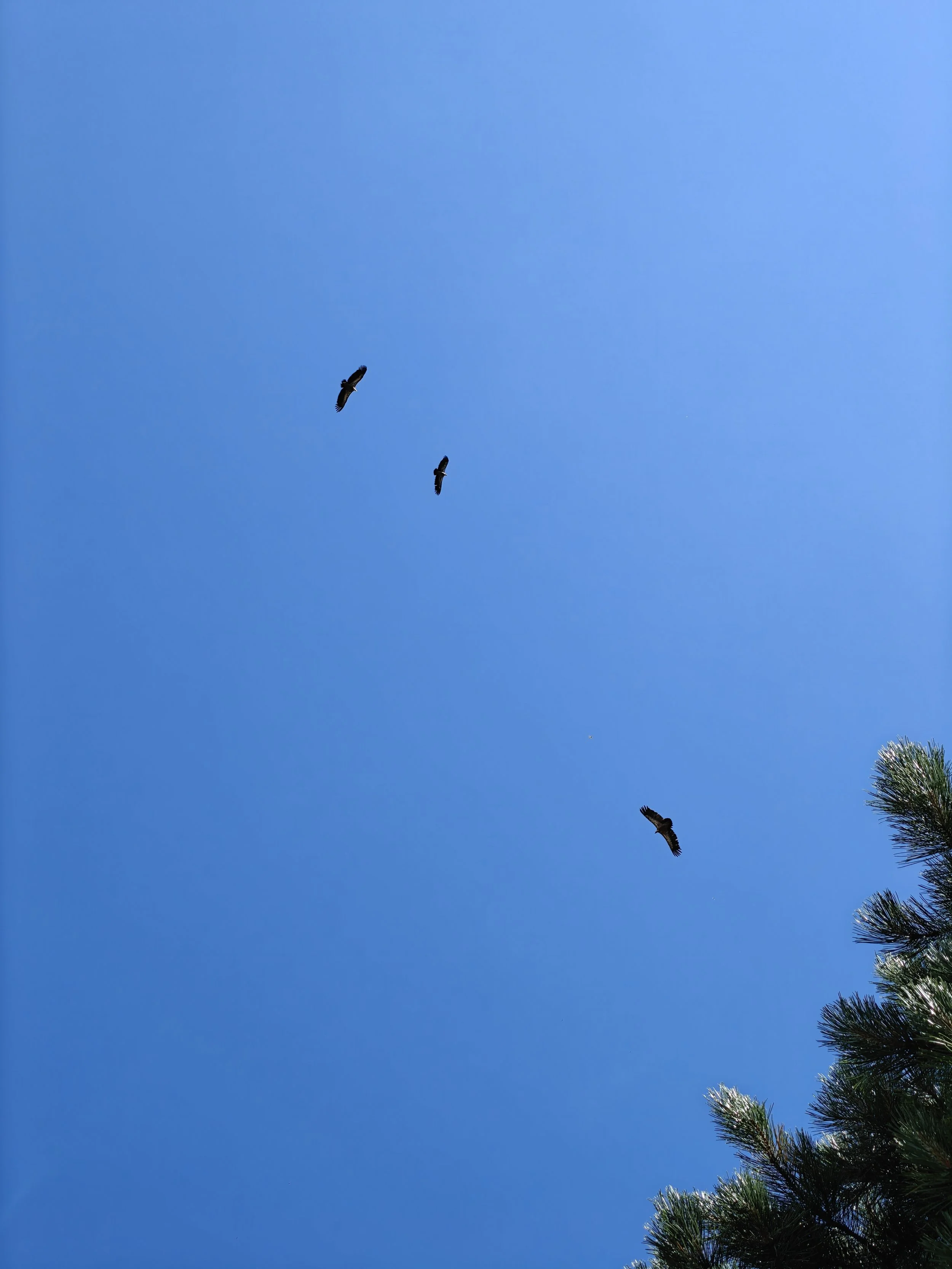 IMG20250911141216.jpg