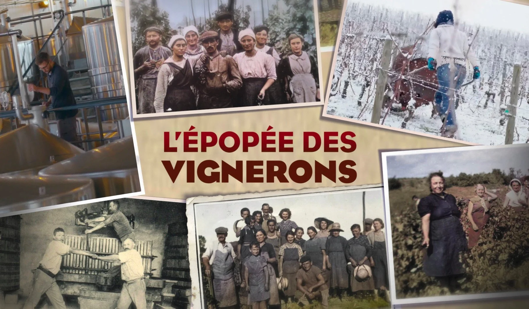 Vignerons.jpg