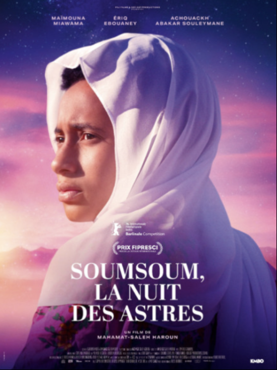  Assistanat Montage - Laboratoire (traitement des rushes, ...) - Étalonnage - Livraisons (Masterisation, DCP distribution festivals & sortie ciné, PAD) 