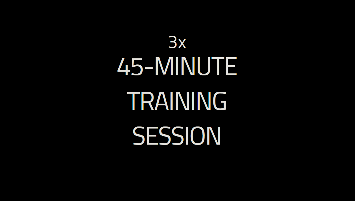 45-Minute Training Session (x3)