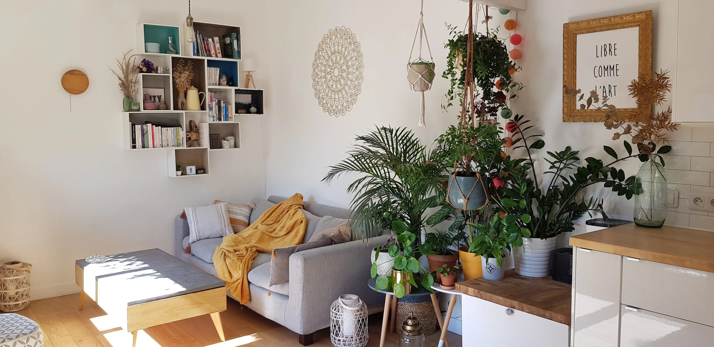 Salon avec un canapé gris, une table en bois, des plantes vertes en pots, une étagère remplie de livres, une décoration murale en osier, un cadre doré avec un texte en français, et des objets décoratifs