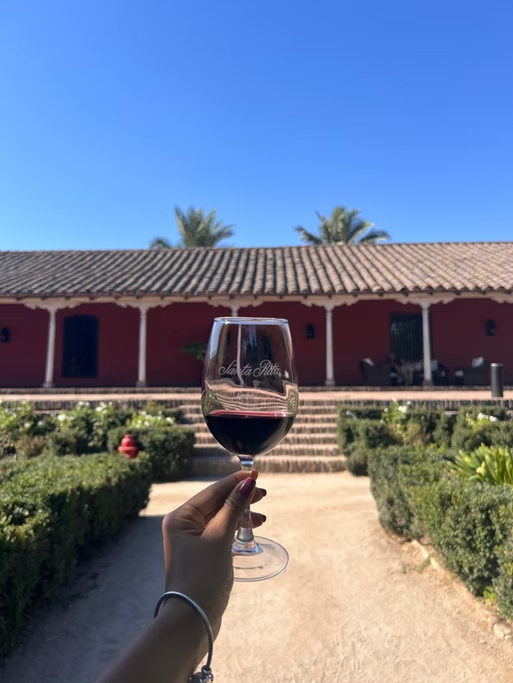Pessoa segurando uma taça de vinho tinto em um jardim com caminho de terra, ao fundo um edifício vermelho com telhado de telhas e duas árvores palmáceas ao céu azul.