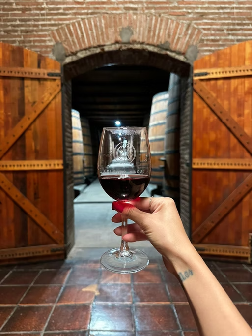 Pessoa segurando taça de vinho tinto na entrada de uma adega com barris de vinho ao fundo.