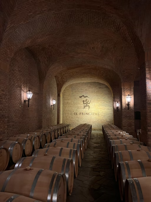 Salão de adega com barris de vinho, iluminação suave e uma parede ao fundo com o texto 'El Principal' e símbolo de touro.