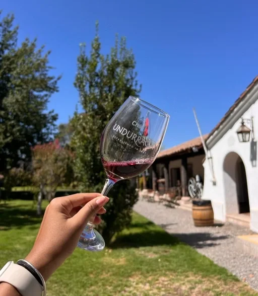 Mão segurando uma taça de vinho tinto ao ar livre, com uma casa branca ao fundo, árvores verdes e céu azul.