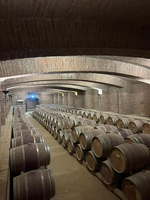 adega de vinícolas com barris de madeira armazenados em fileiras dentro de um ambiente de alvenaria
