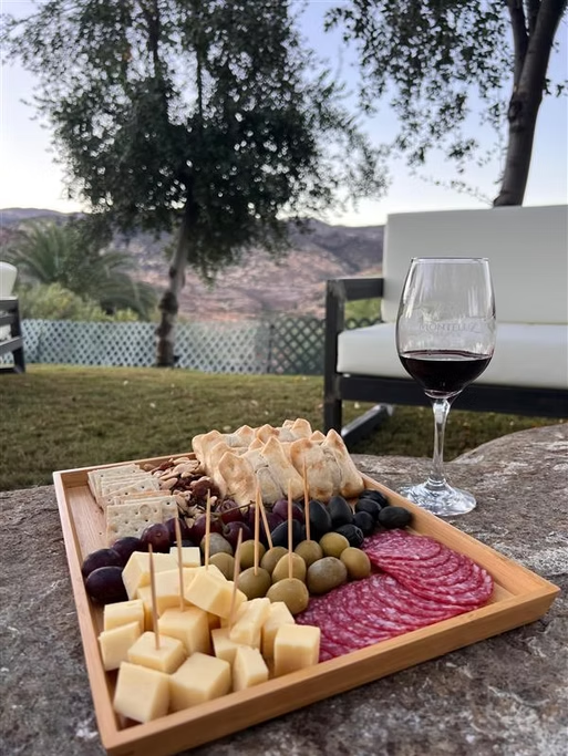 Tabuleiro de queijos, uvas, azeitonas, frios e pães, com uma taça de vinho vermelho ao lado, ao ar livre em um ambiente com árvores e uma cerca de madeira ao fundo.