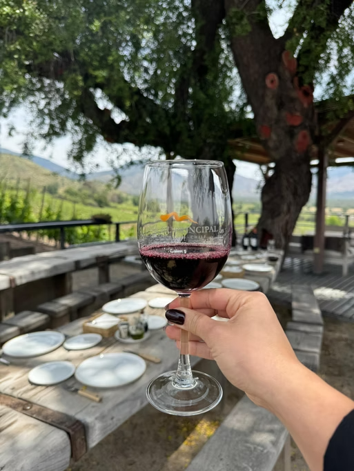 Copo de vinho tinto sendo segurado por uma pessoa ao ar livre com mesa, cadeiras, árvores e paisagem de campo ao fundo.