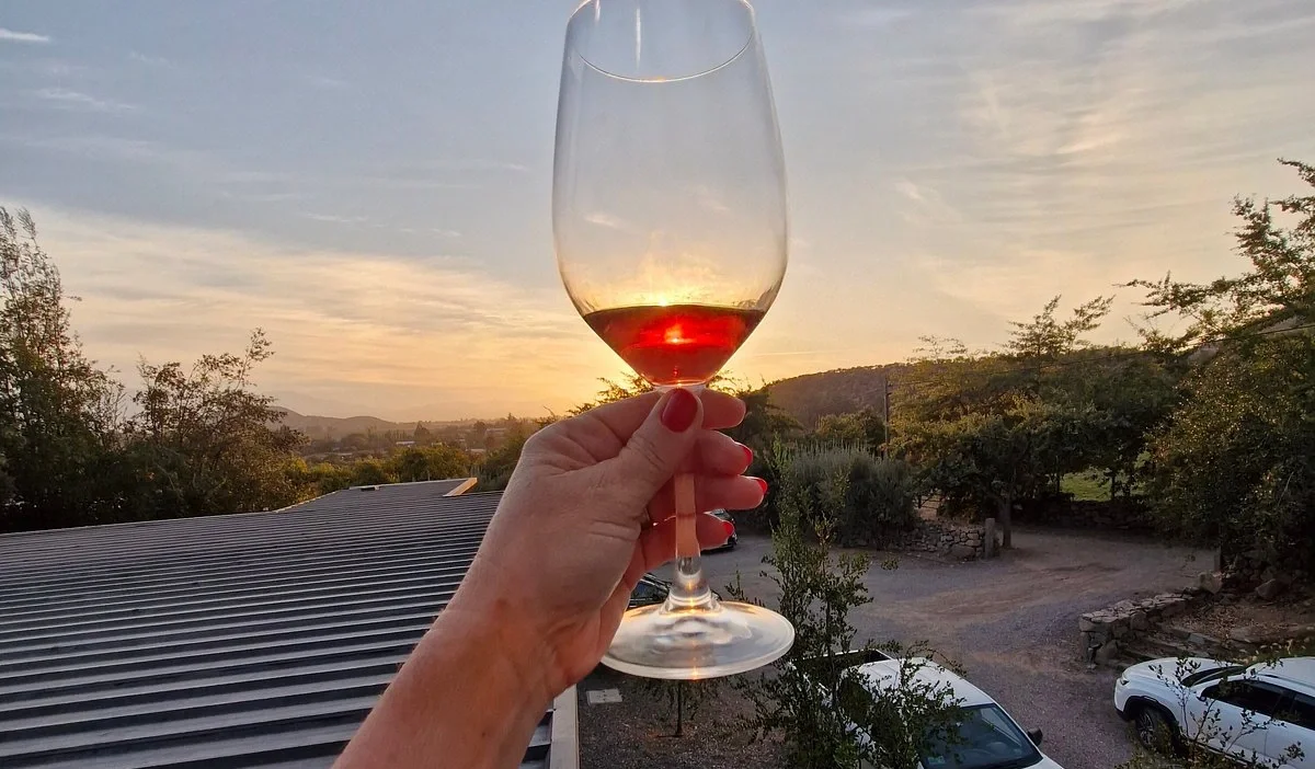 Mão segurando uma taça de vinho tinto, ao pôr do sol, com telhado, árvores e carros ao fundo.