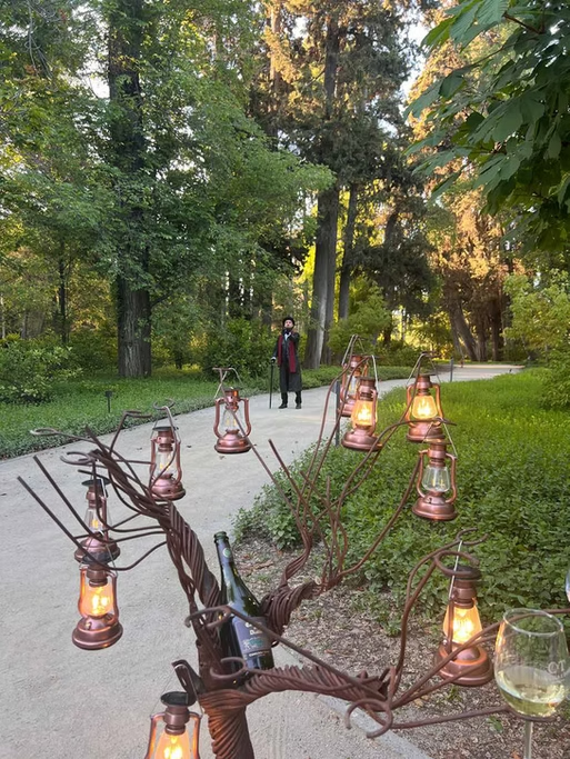 Instalação artística com lâmpadas e galhos de árvore decorativos, próximo a uma pessoa em um caminho de parque