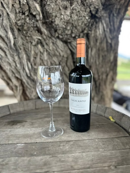 Garrafa de vinho tinto e taça vazia em uma mesa de madeira ao ar livre, com uma árvore grande ao fundo.
