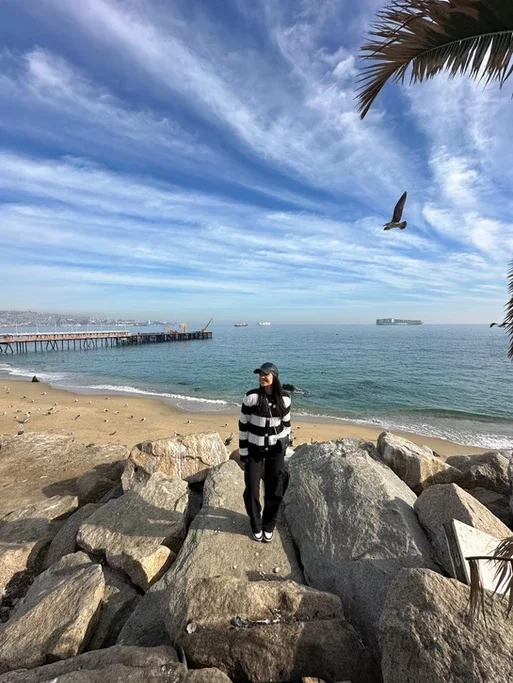 Pessoa caminhando entre pedras na praia com vista para o mar, céu com nuvens e gaivota voando, ao lado de uma árvore palmácea.