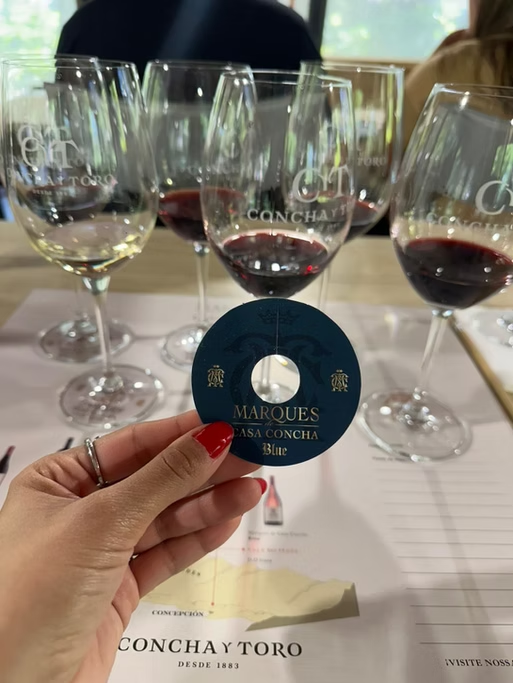 Cinco taças de vinho, três com vinho tinto e duas vazias, sobre uma mesa de degustação. Uma pessoa segura uma roda de vinho azul com a marca Marques Casa Concha, e há um folheto com o nome Concha y Toro na mesa.