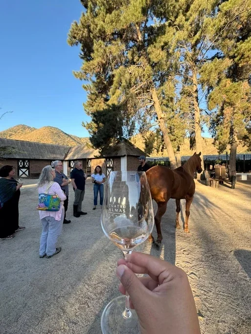 Pessoa segurando uma taça de vinho na frente de um grupo de pessoas, um cavalo e árvores ao fundo em um ambiente ao ar livre.