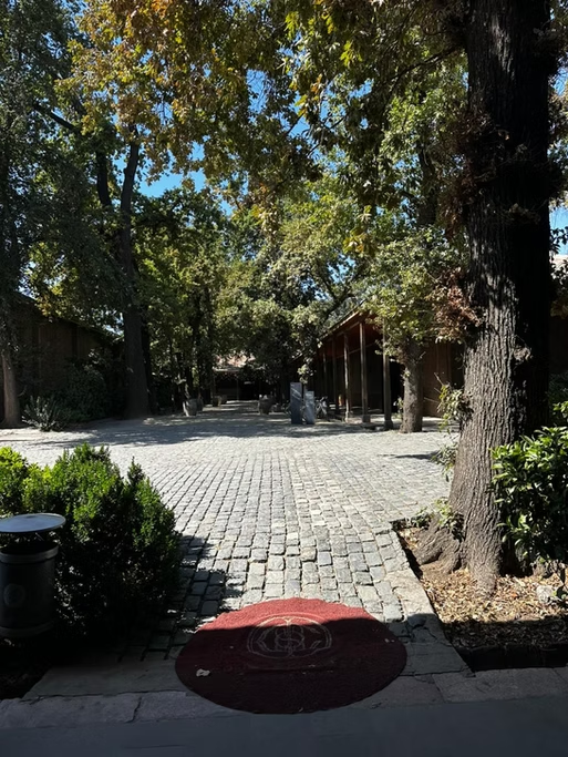 Caminho de pedra em um parque com árvores altas e luxuosas, sombras projetadas no chão e uma estrutura de madeira ao lado, sob um céu azul claro.